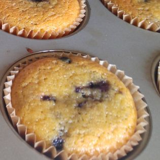 Wild Blueberry and Lemon Muffins